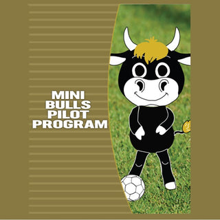 Mini Bulls Pre-School Coaching Program